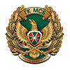 Эксперт